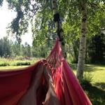 Answer hammock, summer