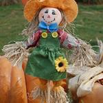 Answer scarecrow, pumpkin