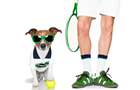 Answer DOG, TENNIS BALL, JERSEY, RACKET, GLASSES, SNEAKERS, SOCK, CALF