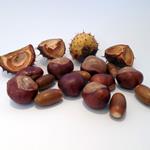 Answer Chestnuts