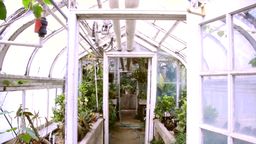 Answer greenhouse, plants, horticulture, sunny, ventilation, pipes