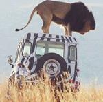 Responder safari