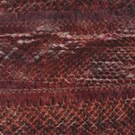 Level 7