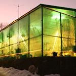 Answer greenhouse