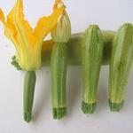 Solution courgettes