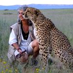 Answer cheetah