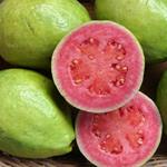 Answer guava