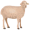 ewe5