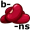 b-ea-ns5