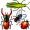 insects5
