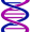 dna2
