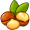 macadamia5
