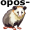 opposum5