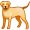 dog5