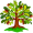 oak5