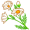 chamomile5