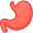 stomach5