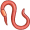 worm5