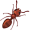 ant5
