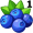 blueberry5