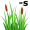 reed-s5
