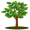 tree5