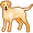 dog5