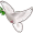 dove5