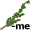 thyme5