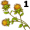 safflower5
