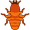 termite5