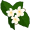 jasmine5
