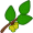 elm5