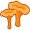 mushrooms5
