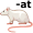 r-at5