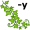 iv-y5