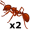 ants5