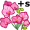 orchid+s5