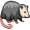 opossum5
