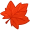 maple5