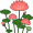 lotuses2