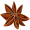 anise2