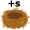nest5