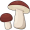 mushrooms5