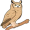 owl5