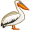 pelican5