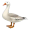 goose5