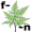 fern5