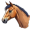 mare5
