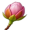 bud5